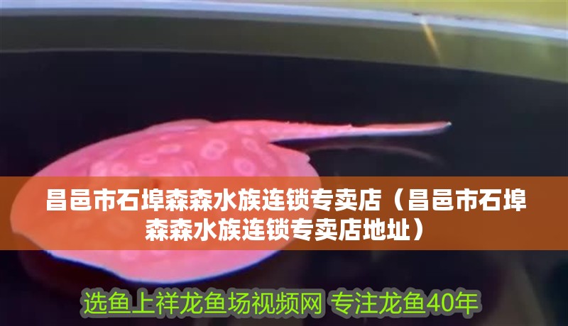 昌邑市石埠森森水族連鎖專賣店（昌邑市石埠森森水族連鎖專賣店地址）