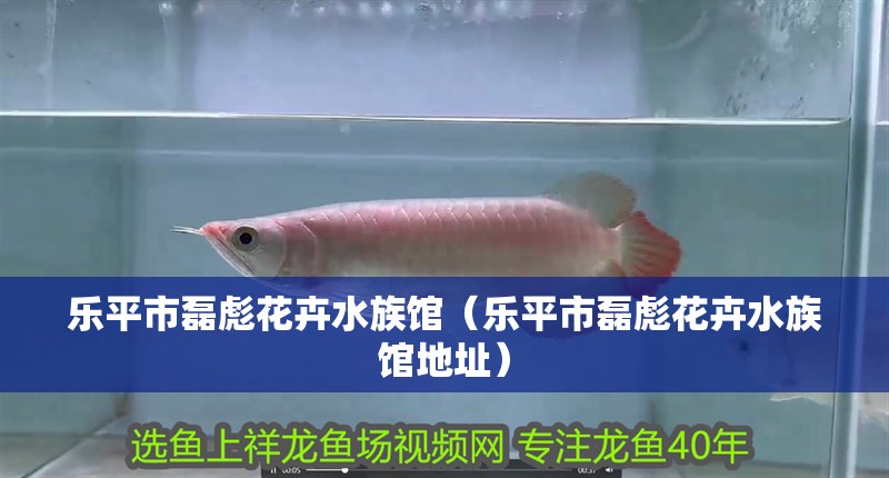 樂平市磊彪花卉水族館（樂平市磊彪花卉水族館地址）