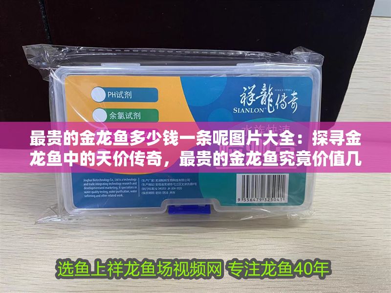 最貴的金龍魚多少錢一條呢圖片大全：探尋金龍魚中的天價傳奇，最貴的金龍魚究竟價值幾何？