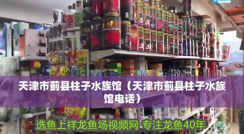 天津市薊縣柱子水族館（天津市薊縣柱子水族館電話）