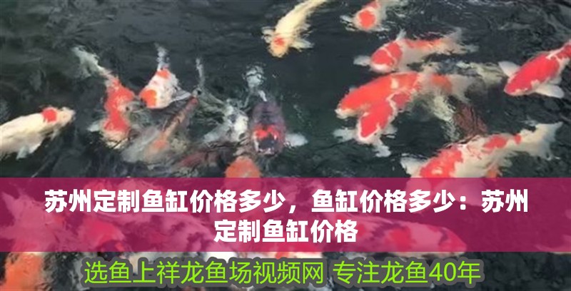 蘇州定制魚缸價格多少，魚缸價格多少：蘇州定制魚缸價格