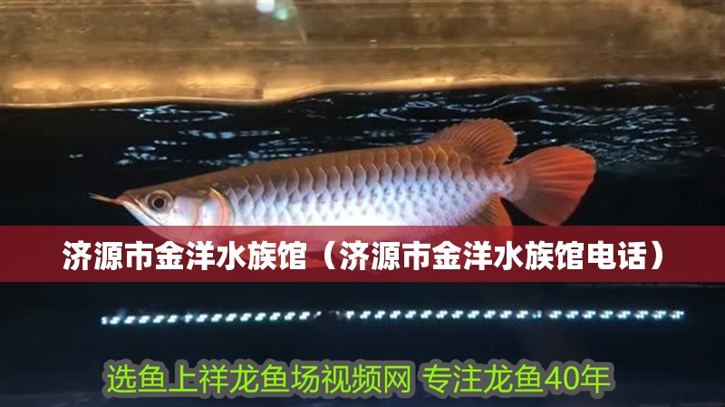 濟(jì)源市金洋水族館（濟(jì)源市金洋水族館電話）