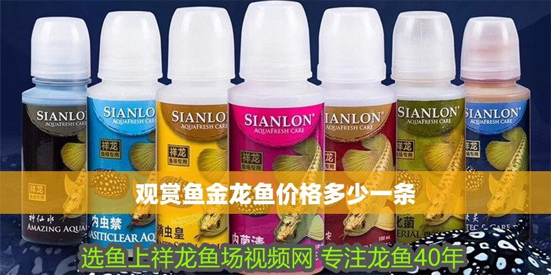 觀賞魚金龍魚價格多少一條