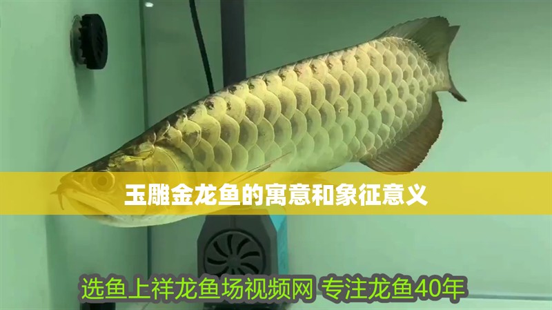 玉雕金龍魚的寓意和象征意義
