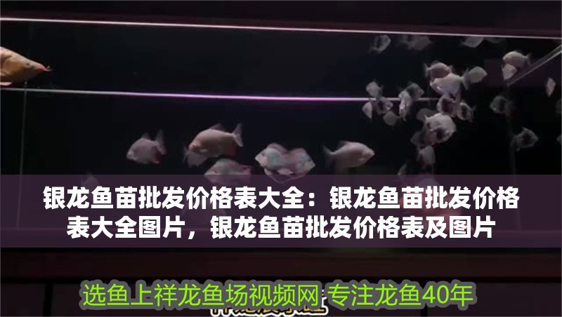 銀龍魚苗批發價格表大全：銀龍魚苗批發價格表大全圖片，銀龍魚苗批發價格表及圖片