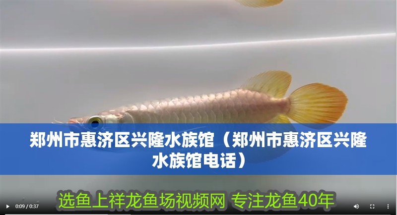 鄭州市惠濟區(qū)興隆水族館（鄭州市惠濟區(qū)興隆水族館電話）