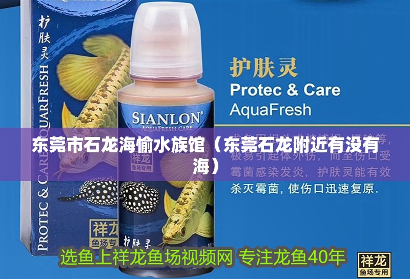 東莞市石龍海愉水族館（東莞石龍附近有沒有海） 東莞市石龍海愉水族館（東莞石龍附近有沒有海） 全國水族館企業名錄 第2張