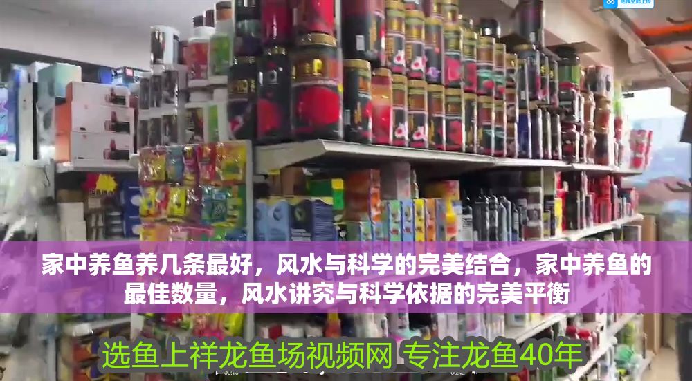 家中養魚養幾條最好，風水與科學的完美結合，家中養魚的最佳數量，風水講究與科學依據的完美平衡