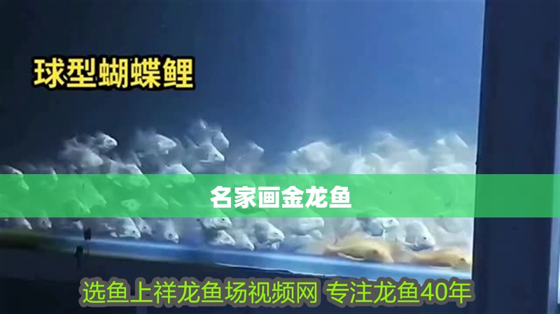 名家畫金龍魚