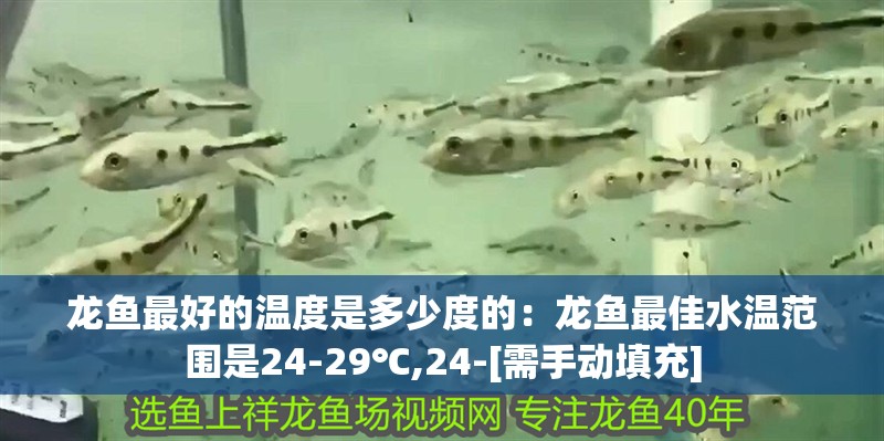 龍魚最好的溫度是多少度的：龍魚最佳水溫范圍是24-29℃,24-[需手動填充]