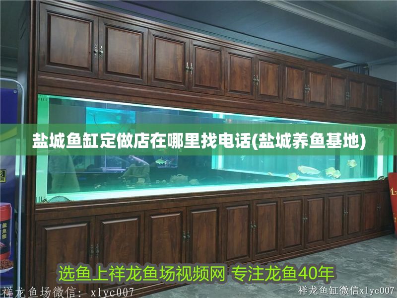 鹽城魚缸定做店在哪里找電話(鹽城養魚基地)
