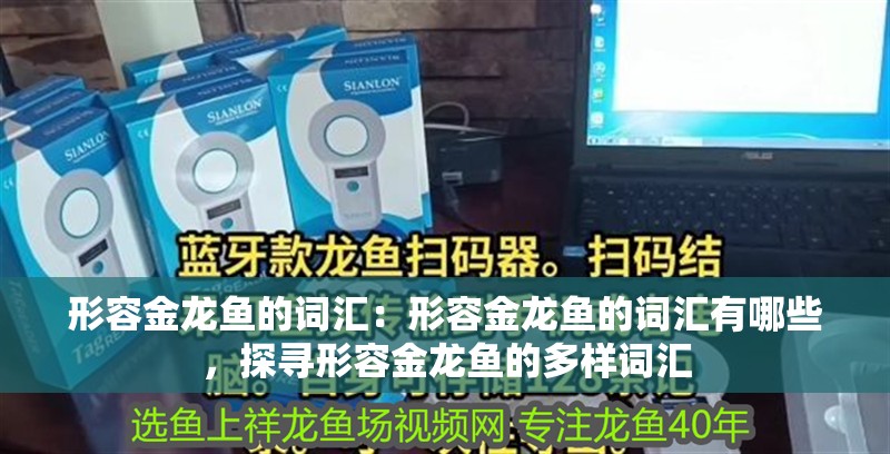 形容金龍魚的詞匯：形容金龍魚的詞匯有哪些，探尋形容金龍魚的多樣詞匯