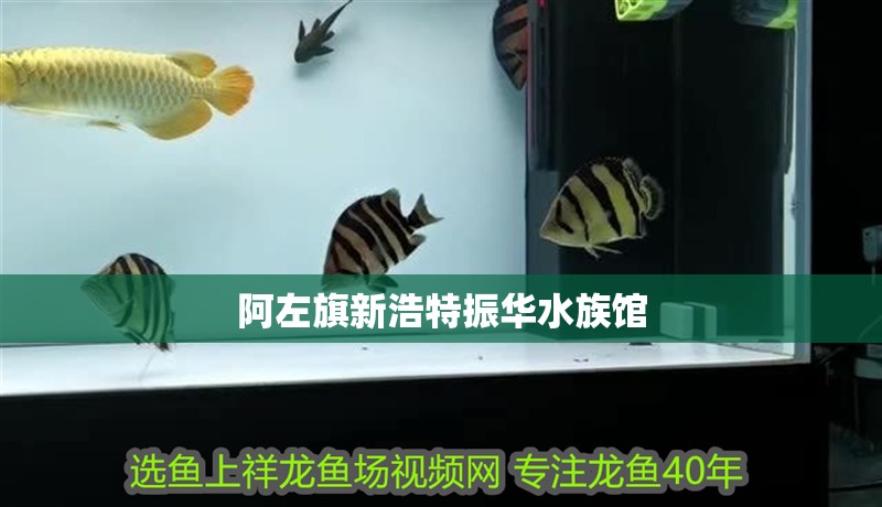 阿左旗新浩特振華水族館