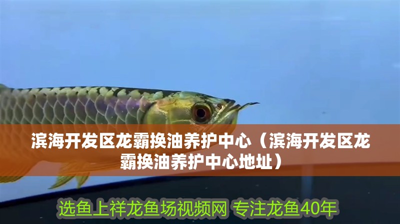 濱海開發(fā)區(qū)龍霸換油養(yǎng)護中心（濱海開發(fā)區(qū)龍霸換油養(yǎng)護中心地址）