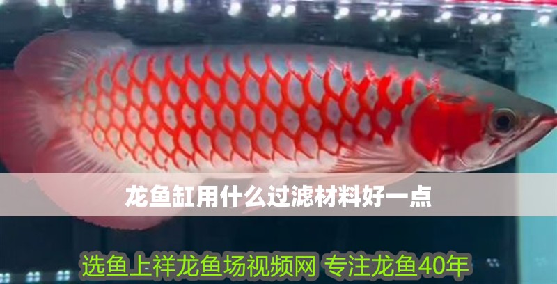 龍魚缸用什么過濾材料好一點