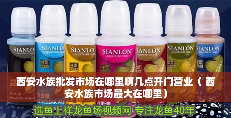 西安水族批發市場在哪里啊幾點開門營業（ 西安水族市場最大在哪里）