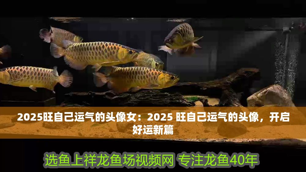 詳細閱讀:2025旺自己運氣的頭像女:2025 旺自己運氣的頭像,開啟好運新篇 2025旺自己運氣的頭像女:2025 旺自己運氣的頭像,開啟好運新篇