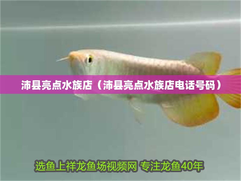 沛縣亮點水族店（沛縣亮點水族店電話號碼）