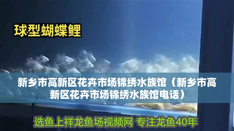 新鄉(xiāng)市高新區(qū)花卉市場(chǎng)錦繡水族館（新鄉(xiāng)市高新區(qū)花卉市場(chǎng)錦繡水族館電話(huà)）