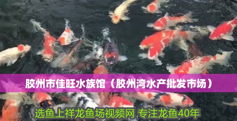 膠州市佳旺水族館（膠州灣水產(chǎn)批發(fā)市場）