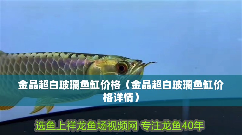 金晶超白玻璃魚缸價(jià)格（金晶超白玻璃魚缸價(jià)格詳情）