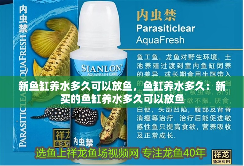 新魚缸養水多久可以放魚，魚缸養水多久：新買的魚缸養水多久可以放魚