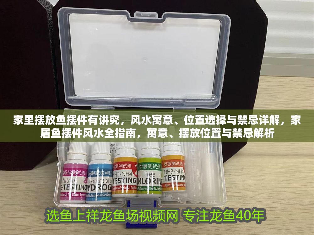 家里擺放魚擺件有講究，風水寓意、位置選擇與禁忌詳解，家居魚擺件風水全指南，寓意、擺放位置與禁忌解析