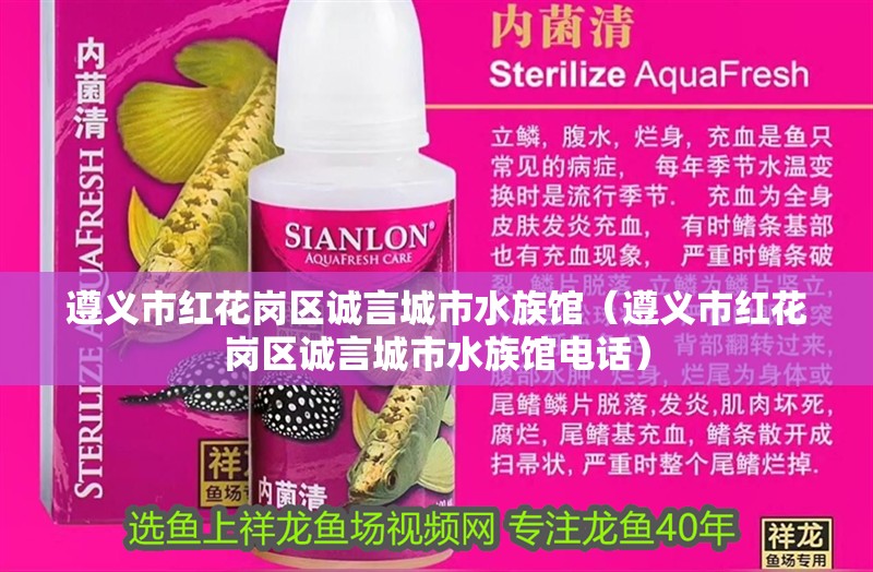 遵義市紅花崗區(qū)誠言城市水族館（遵義市紅花崗區(qū)誠言城市水族館電話）
