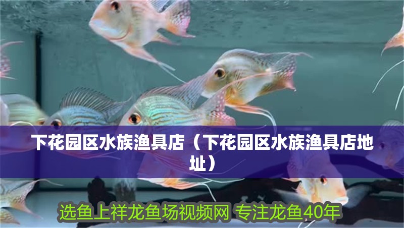 下花園區水族漁具店（下花園區水族漁具店地址）