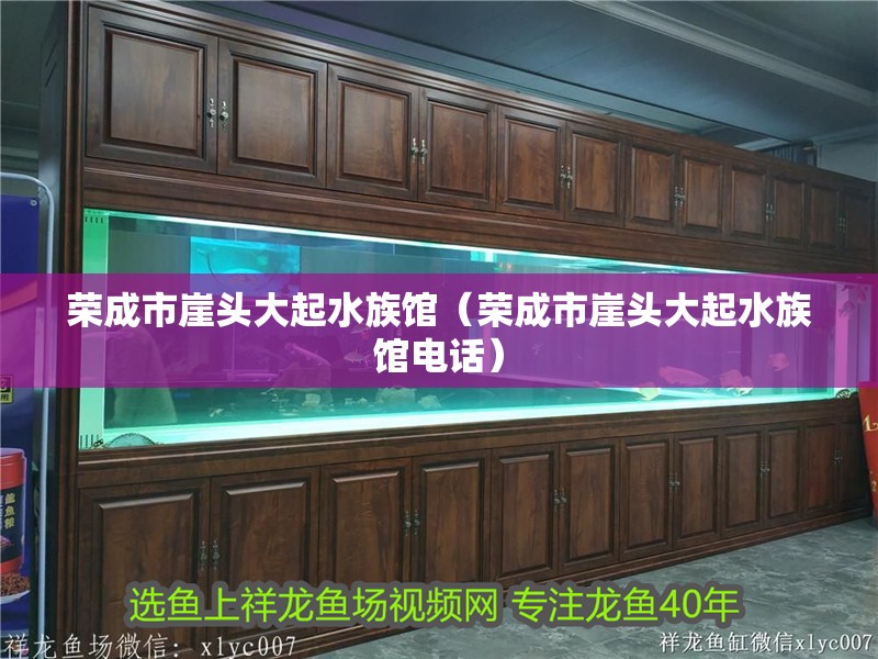 榮成市崖頭大起水族館（榮成市崖頭大起水族館電話）