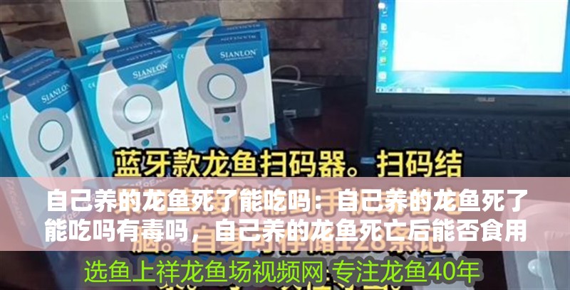 自己養的龍魚死了能吃嗎：自己養的龍魚死了能吃嗎有毒嗎，自己養的龍魚死亡后能否食用及是否有毒探究