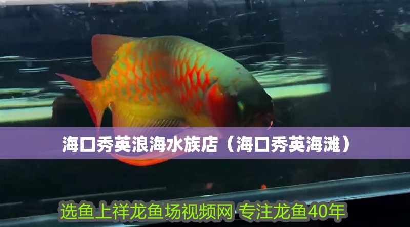 海口秀英浪海水族店（海口秀英海灘）