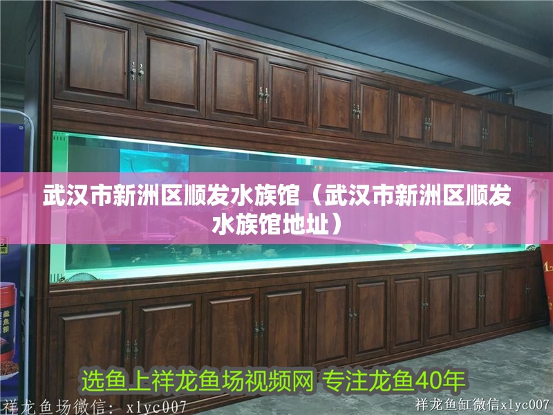 武漢市新洲區順發水族館（武漢市新洲區順發水族館地址）