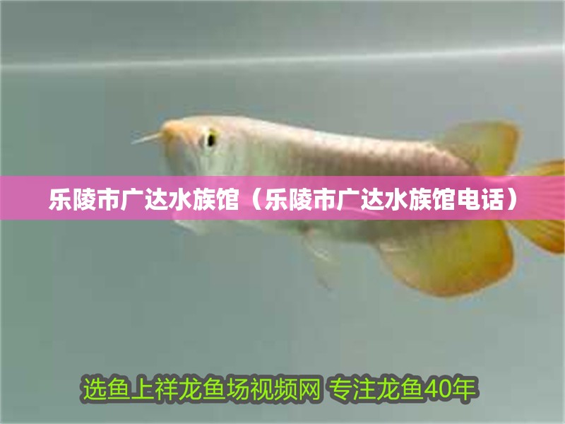 樂(lè)陵市廣達(dá)水族館（樂(lè)陵市廣達(dá)水族館電話）