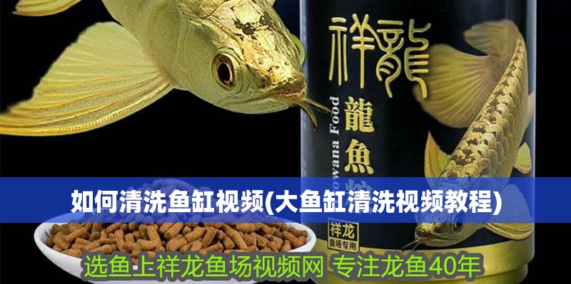 如何清洗魚缸視頻(大魚缸清洗視頻教程)