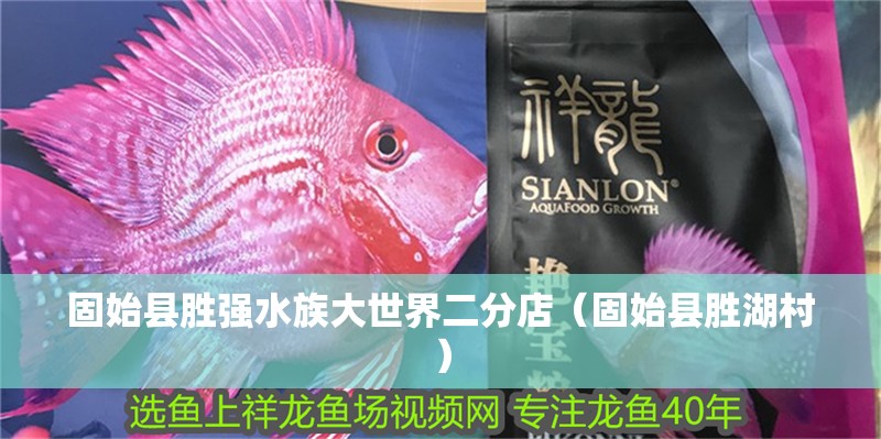 固始縣勝?gòu)?qiáng)水族大世界二分店（固始縣勝湖村）