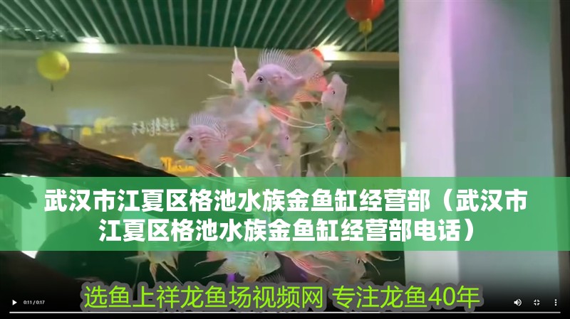 武漢市江夏區格池水族金魚缸經營部（武漢市江夏區格池水族金魚缸經營部電話）