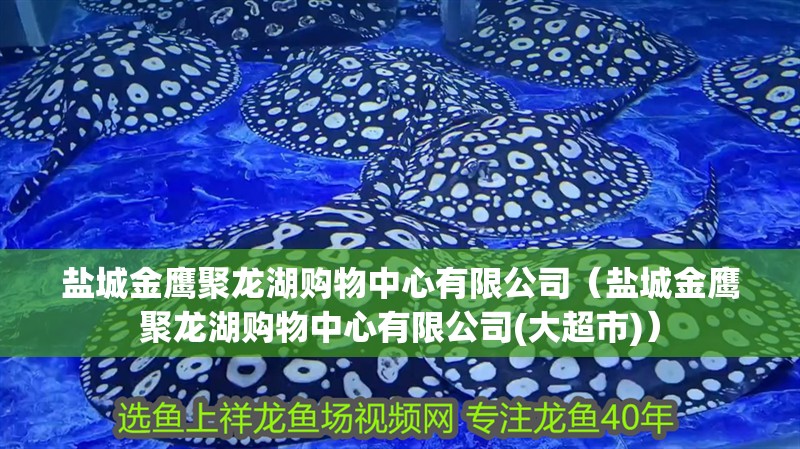 鹽城金鷹聚龍湖購物中心有限公司（鹽城金鷹聚龍湖購物中心有限公司(大超市)）