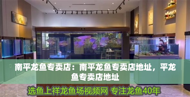 南平龍魚專賣店：南平龍魚專賣店地址，平龍魚專賣店地址