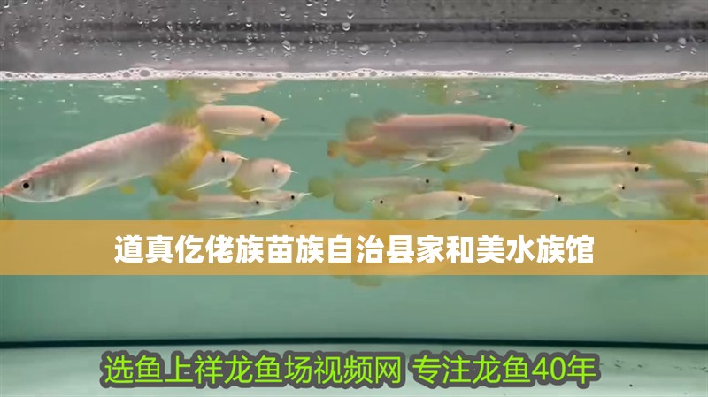 道真仡佬族苗族自治縣家和美水族館 道真仡佬族苗族自治縣家和美水族館 全國水族館企業名錄 第2張