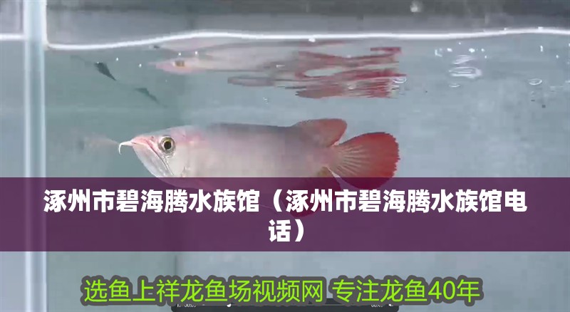 涿州市碧海騰水族館（涿州市碧海騰水族館電話）