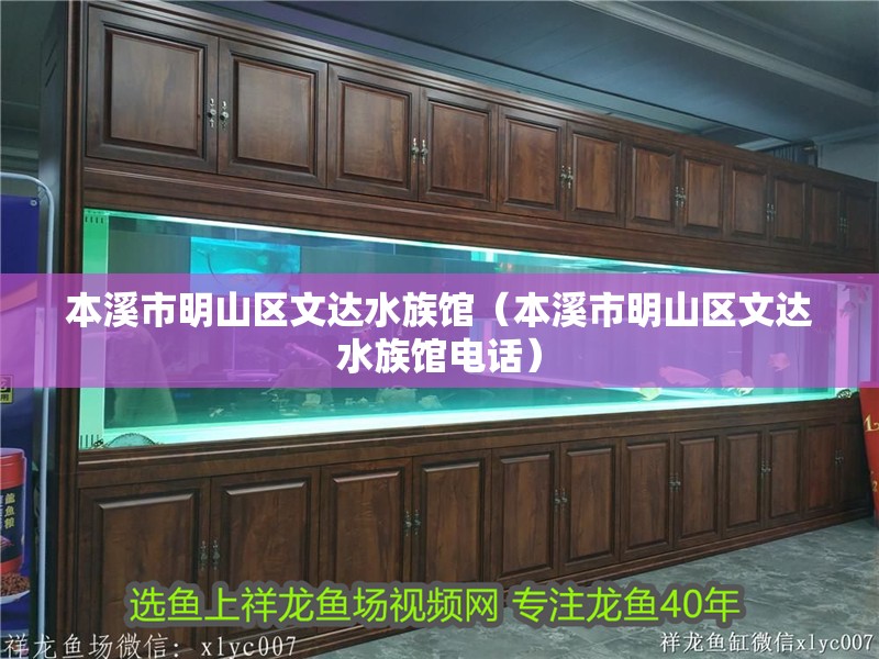 本溪市明山區(qū)文達(dá)水族館（本溪市明山區(qū)文達(dá)水族館電話）