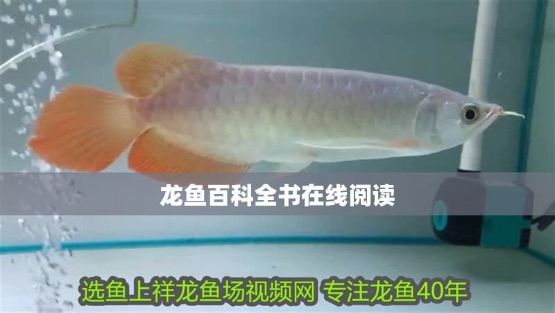 龍魚百科全書在線閱讀