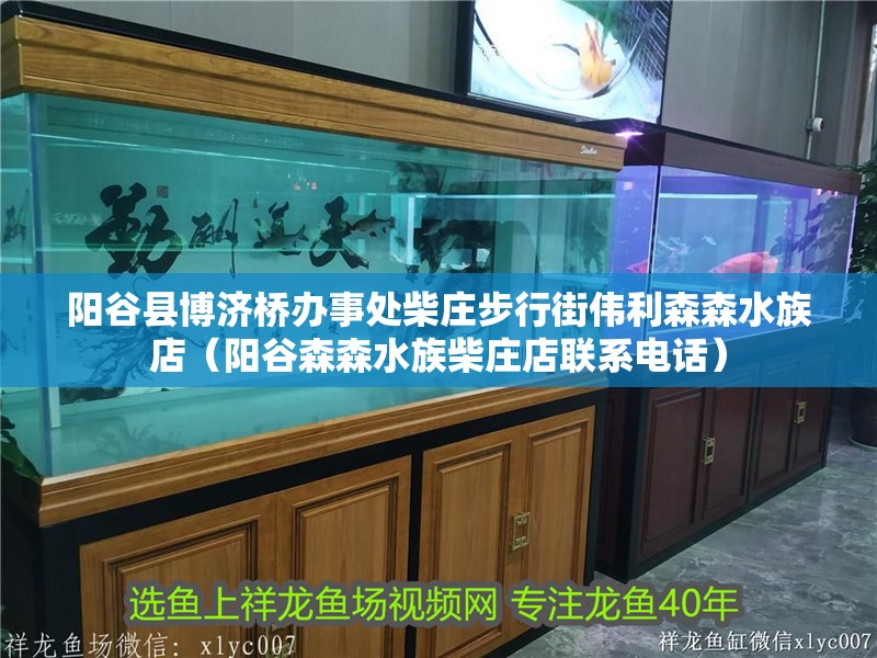 陽谷縣博濟橋辦事處柴莊步行街偉利森森水族店（陽谷森森水族柴莊店聯系電話）