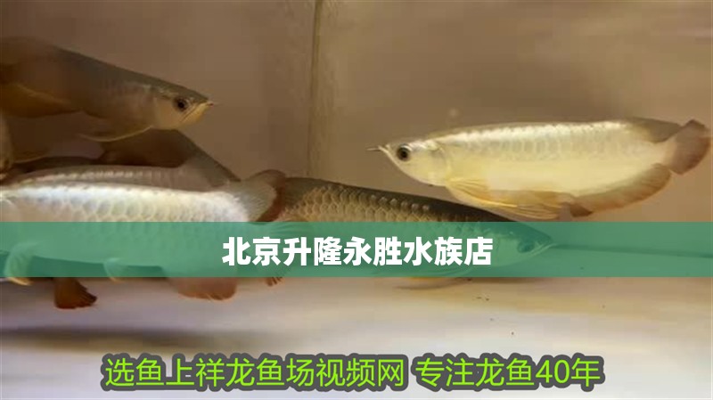 北京升隆永勝水族店