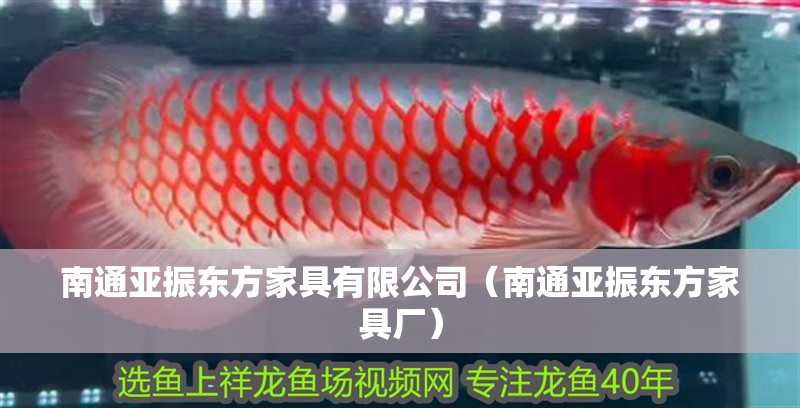 南通亞振東方家具有限公司（南通亞振東方家具廠）