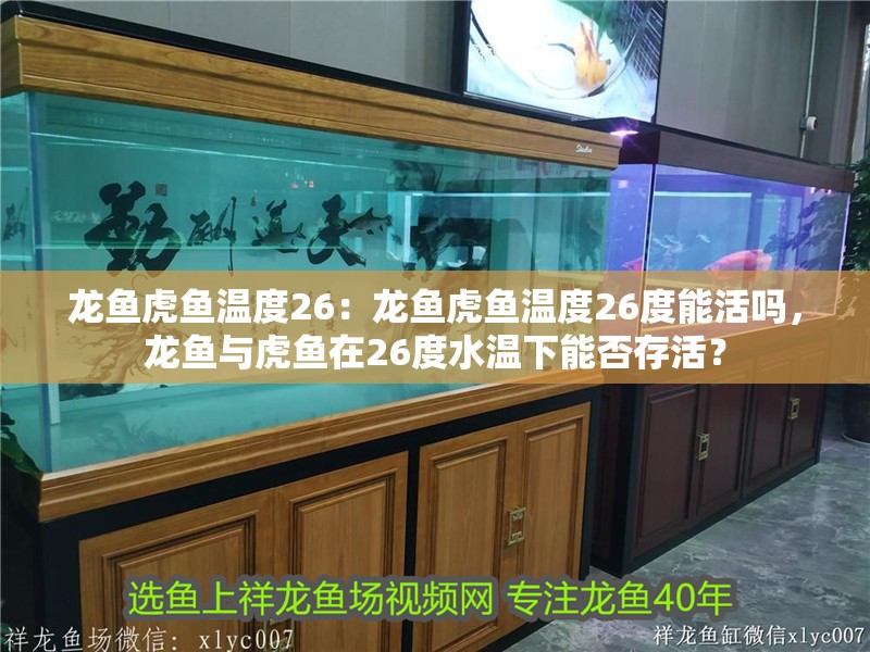 龍魚虎魚溫度26：龍魚虎魚溫度26度能活嗎，龍魚與虎魚在26度水溫下能否存活？