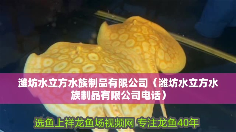 濰坊水立方水族制品有限公司（濰坊水立方水族制品有限公司電話）