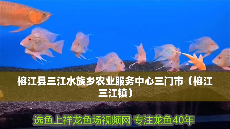 榕江縣三江水族鄉農業服務中心三門市（榕江三江鎮）