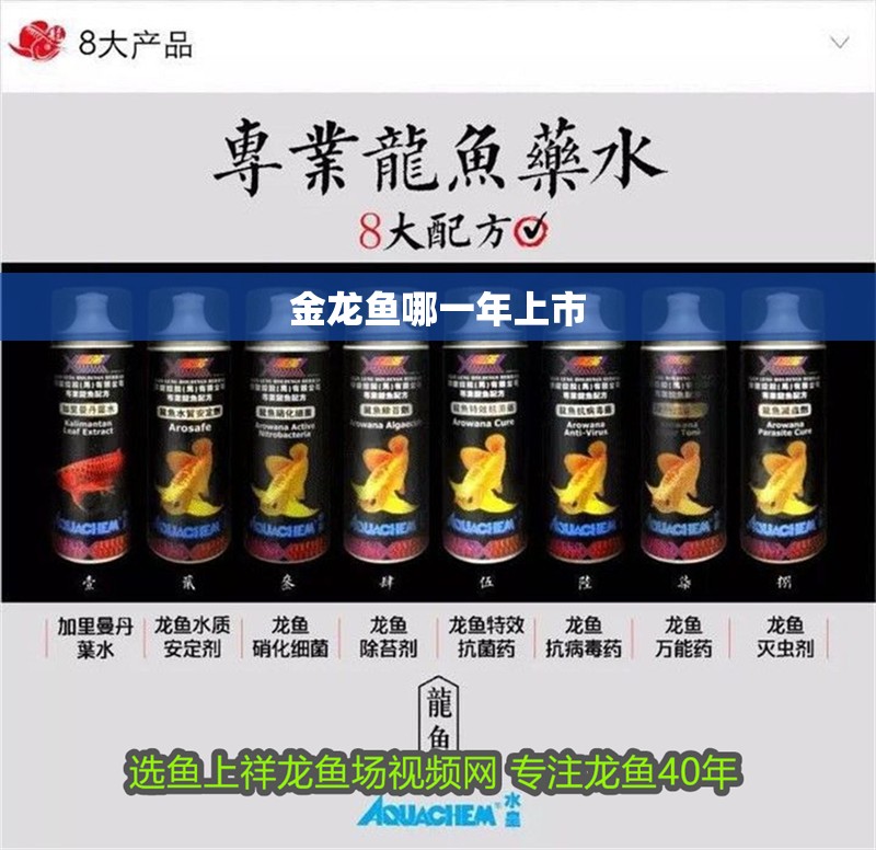 金龍魚哪一年上市 金龍魚哪一年上市 龍魚百科 第2張